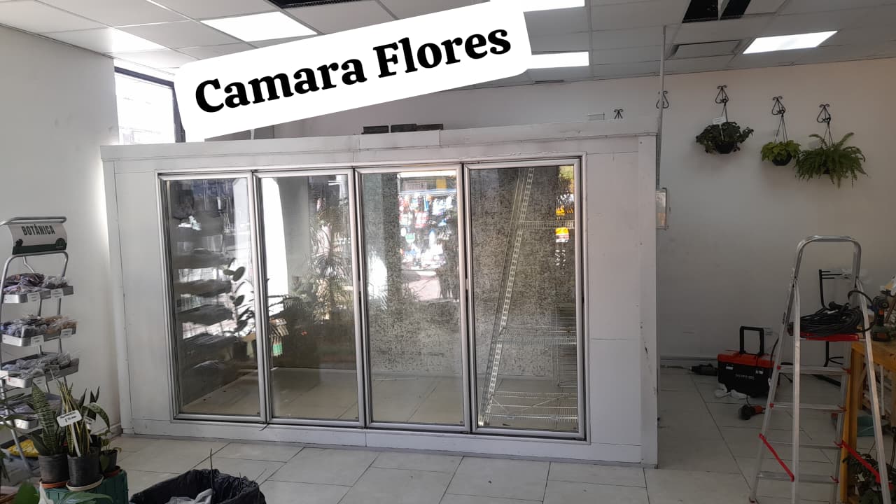 Foto 6